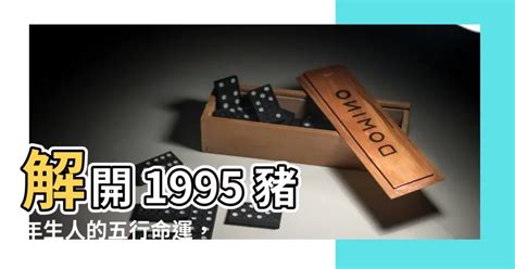 1995屬豬|【1995年豬五行】1995年豬五行解析：屬豬人命格運勢大解密